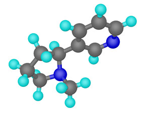 Molekül