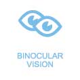 GOC Punkte Binocular Vision