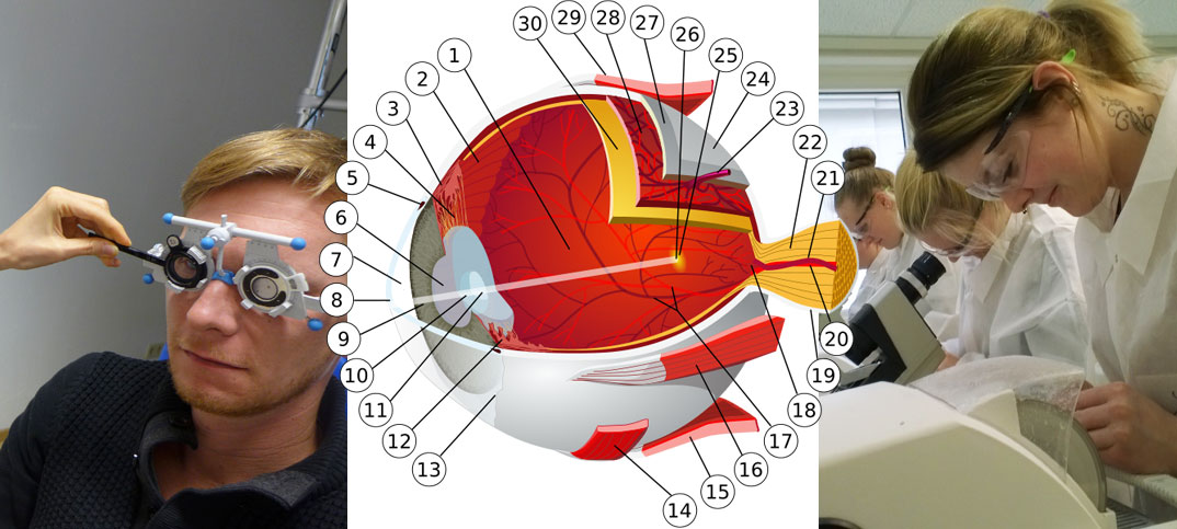 Vorbereitungslehrgang Augenoptik