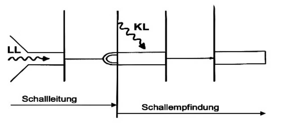Schallweg über die Luft- und die Knochenleitung